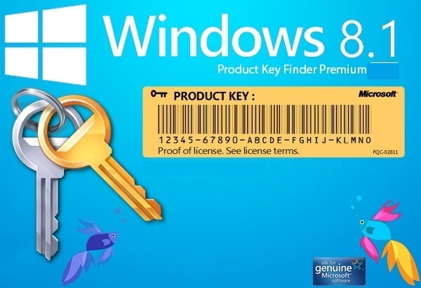 official inpaint serial key